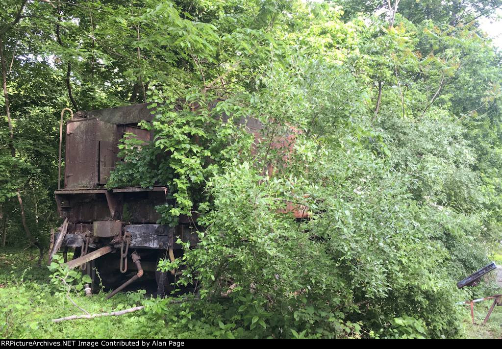 Unknown steam tender in the weeds